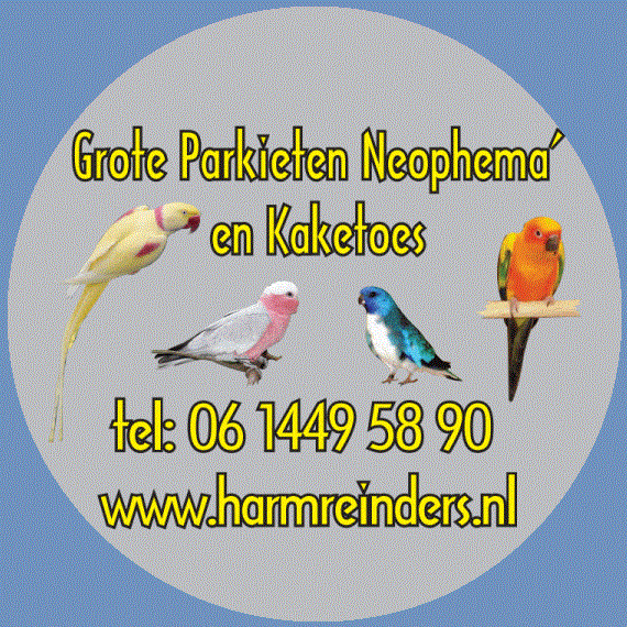 mijn hobby grote parkieten 